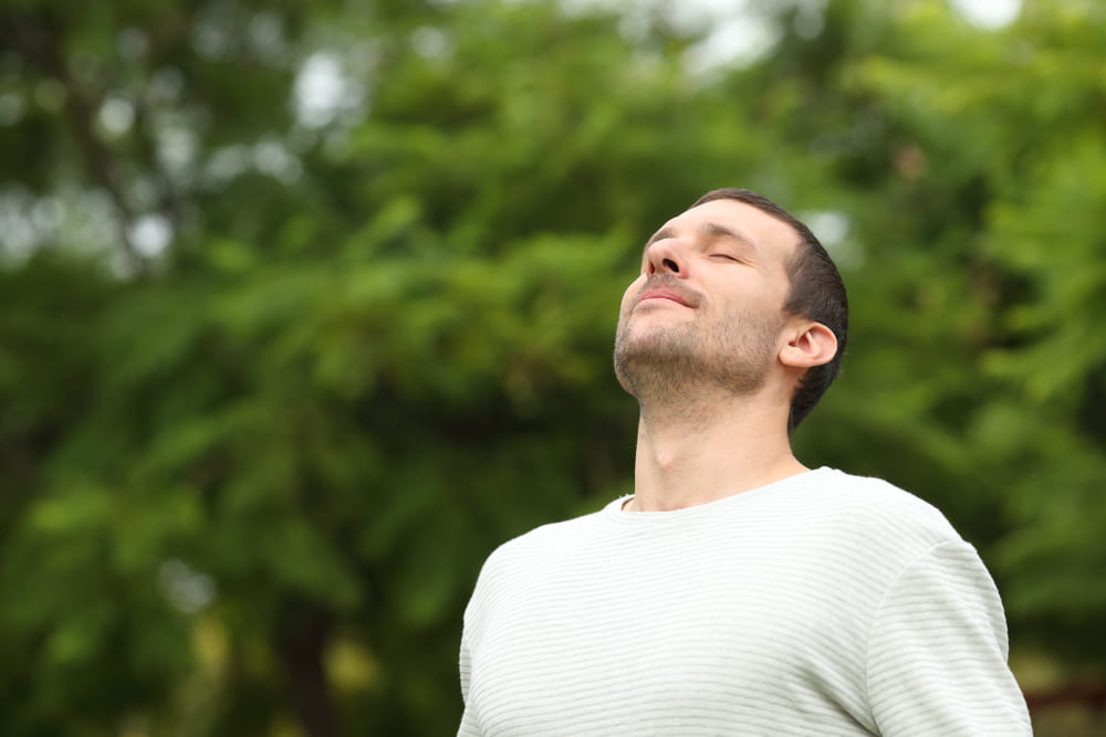 Top 5 Mullein Benefits & Uses