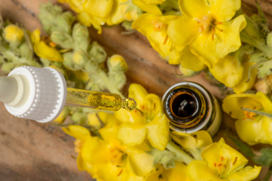 How To Use Mullein Extract Drops